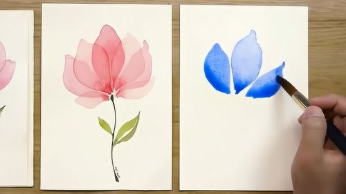 艺术与健康的双重绽放 当花朵之美邂逅健身之趣